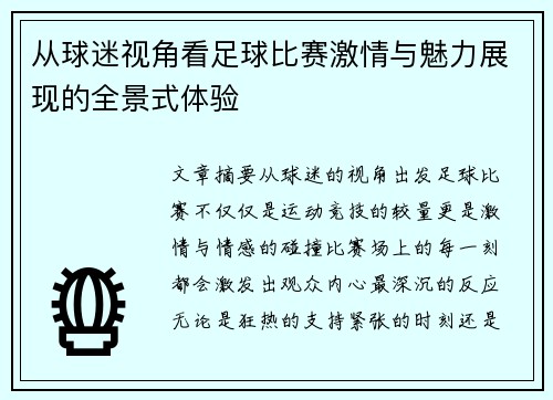 从球迷视角看足球比赛激情与魅力展现的全景式体验