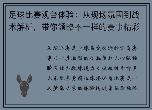 足球比赛观台体验：从现场氛围到战术解析，带你领略不一样的赛事精彩